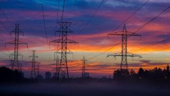 Power, Plant