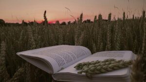 Nem B terv többé – az agrártechnikum ma már a gimnázium valós alternatívája